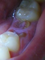 DSCF6111.JPG