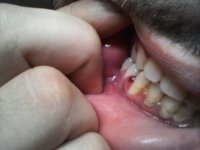 IMG_20120708_105813.jpg