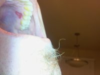 tooth.jpg tooth.jpg