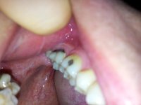 20130307_010631.jpg