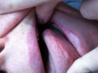 tongue2.JPG