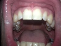 IMG_0593.jpg