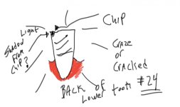 craze or crack.jpg