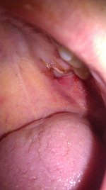 IMAG0388.jpg