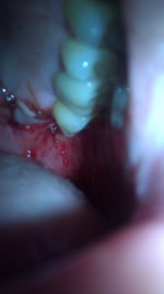 IMAG0395.jpg