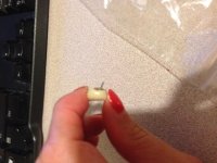 IMG_3284[1].jpg