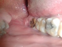 20140806_040304.jpg