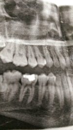 IMAG7524.jpg