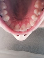 tumblr_ntkp68UG011qe60omo8_1280.jpg