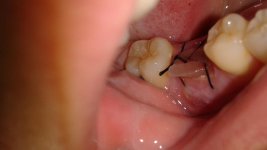 20160626_110641.jpg