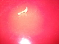 IMG_20160724_003227_743.jpg IMG_20160724_003227_743.jpg