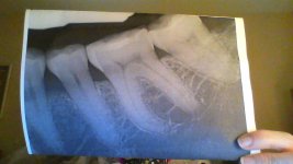 WIN_20180505_14_09_26_Pro.jpg