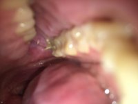 IMG_3347[1].jpg