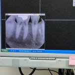 IMAG0569.jpg