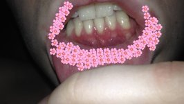 IMG_0369.JPG IMG_0369.JPG
