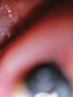 IMG_20201112_121522.jpg