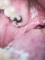 IMG_20201112_143243.jpg