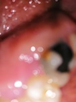 IMG_20201112_095446.jpg