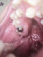 IMG_20201113_104924.jpg
