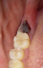 IMG_20210302_075145.JPG