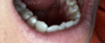 8E9591F7-9B51-4385-B70B-2ADFECC21BB4.jpeg
