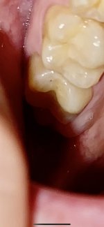 1E5047E1-12E3-4DE6-A99B-CD6C7605A287.jpeg