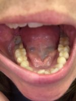 B467DA87-61C5-41B7-9E0A-27CEA1329677.jpeg