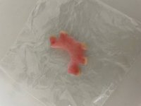 R mansell denture.jpg