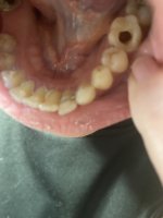 IMG_1148.jpeg