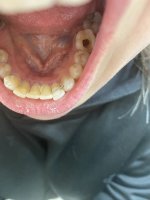 IMG_1145.jpeg