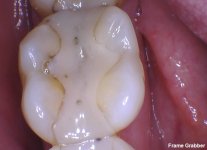 IMG_1041.jpeg