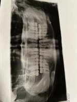 IMG_7330.jpeg