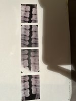 IMG_7329.jpeg