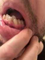 IMG_9490.jpeg