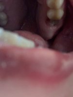 IMG_3087.jpeg