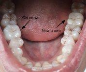 New crown natural sunlight 2.jpg