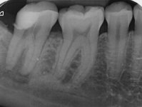 45500659443RX01.jpg