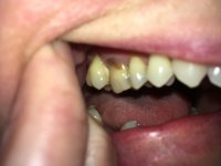 pics5 029.JPG