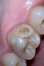 IMG_7675.jpeg IMG_7675.jpeg