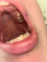 IMG_0471.jpeg