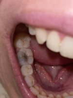 IMG_3013.jpeg