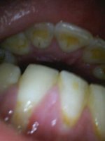 IMG_20241102_003904_289.jpg