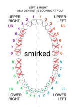 letters-and-numbers~2.jpg