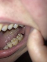 IMG_7847.jpeg
