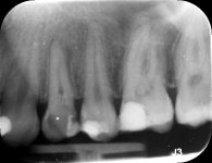 IMG_1744.jpeg