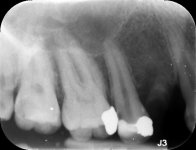 IMG_1743.jpeg