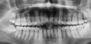 IMG_3549.jpeg IMG_3549.jpeg