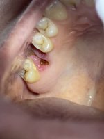 IMG_2108.jpeg