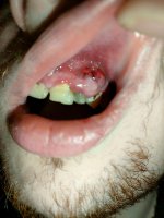 IMG20250118083624~3.jpg