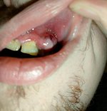 IMG20250118083531~3.jpg